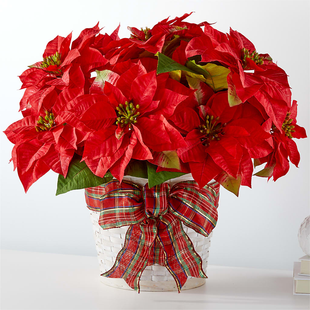 Happiest Holidays Poinsettia – Ko Caffee Llc Dba Verde Galerie, Stamford CT