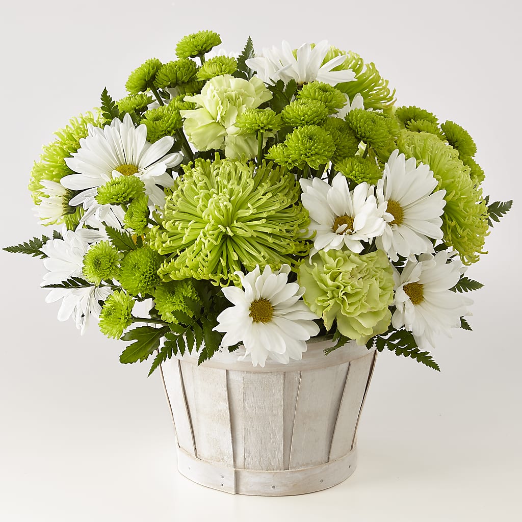 Lucky Charm Basket (Standard) – Ko Caffee Llc Dba Verde Galerie, Stamford CT