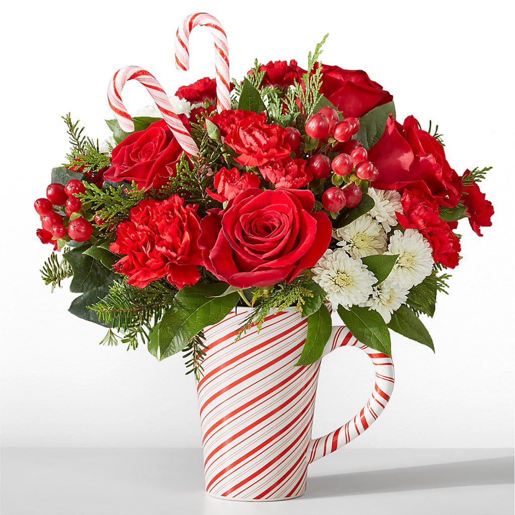 Peppermint Swirl Mug – Ko Caffee Llc Dba Verde Galerie, Stamford CT