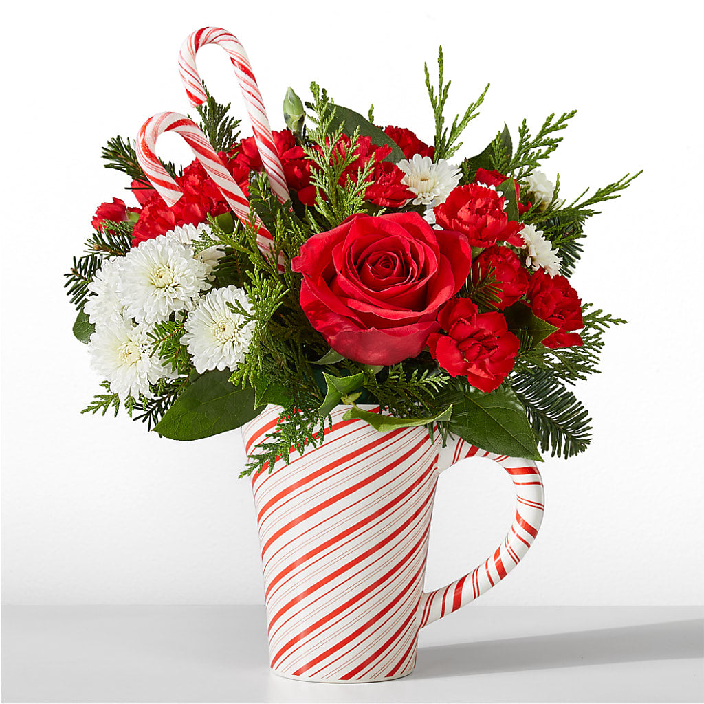 Peppermint Swirl Mug – Ko Caffee Llc Dba Verde Galerie, Stamford CT