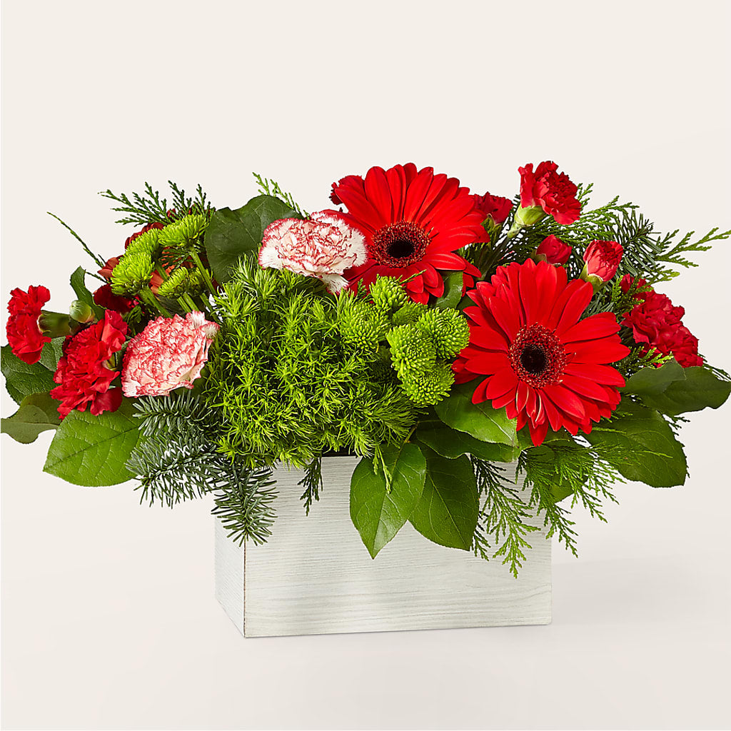 The Rudolph Bouquet – Ko Caffee Llc Dba Verde Galerie, Stamford CT