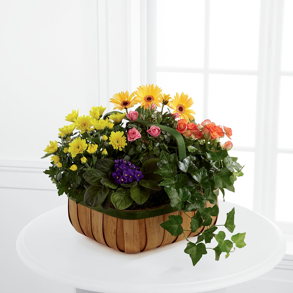 Gentle Blossoms Basket – Ko Caffee Llc Dba Verde Galerie, Stamford CT