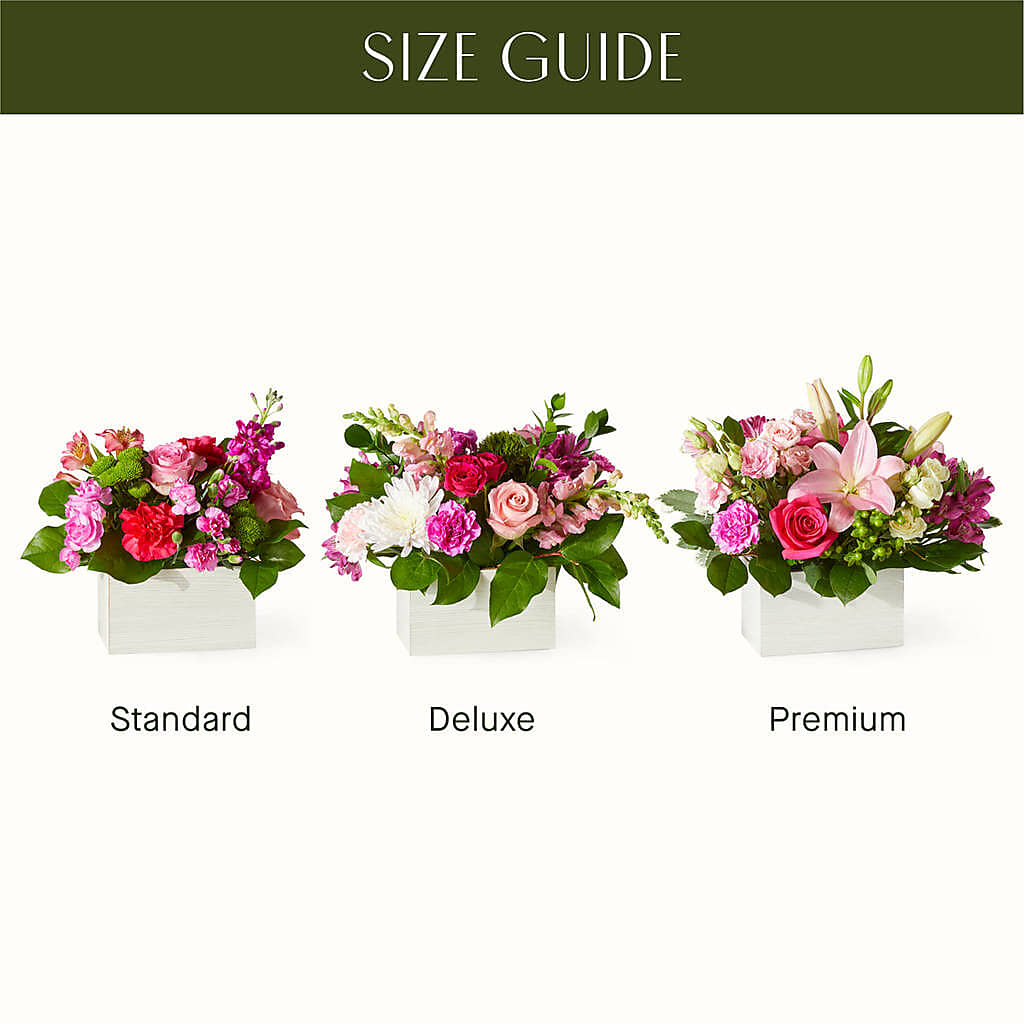 Sweetberry Box – A Florist Original – Ko Caffee Llc Dba Verde Galerie, Stamford CT
