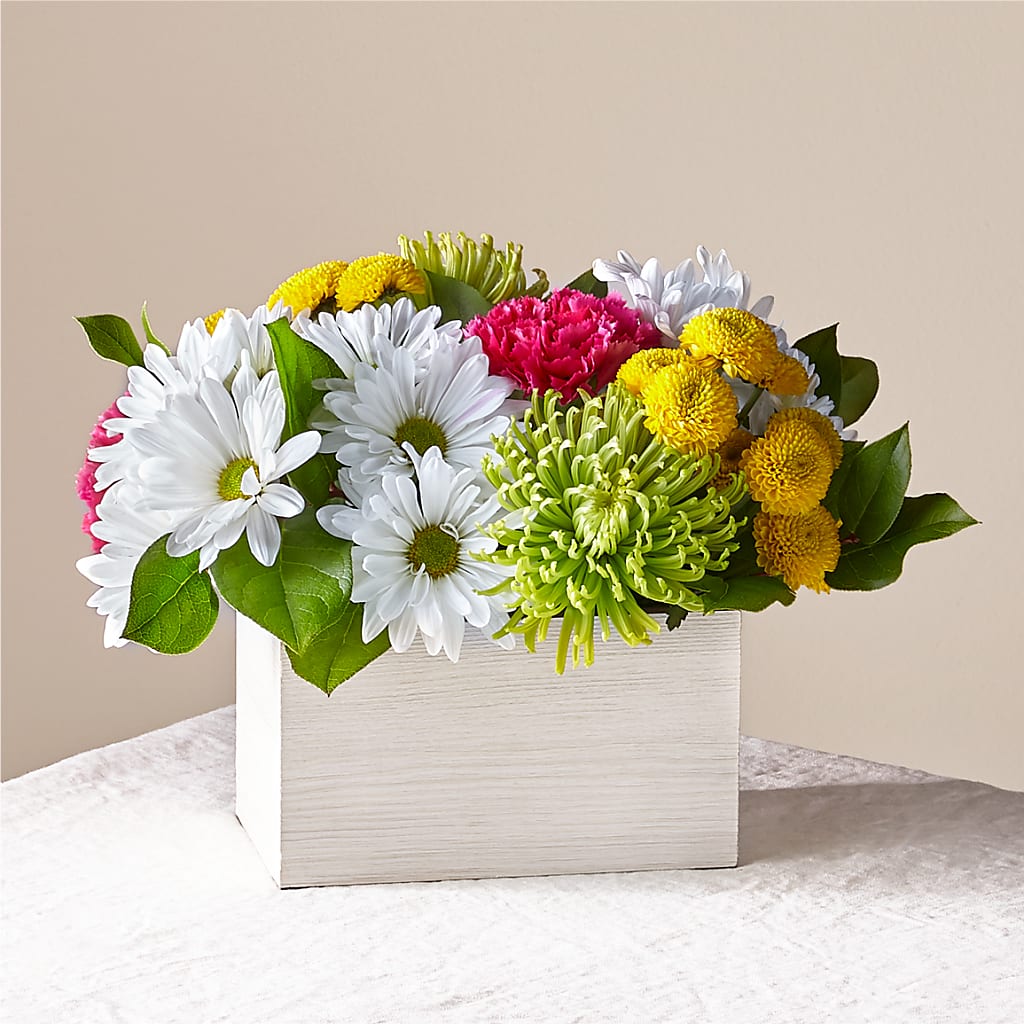 Sorbet Bouquet – Ko Caffee Llc Dba Verde Galerie, Stamford CT