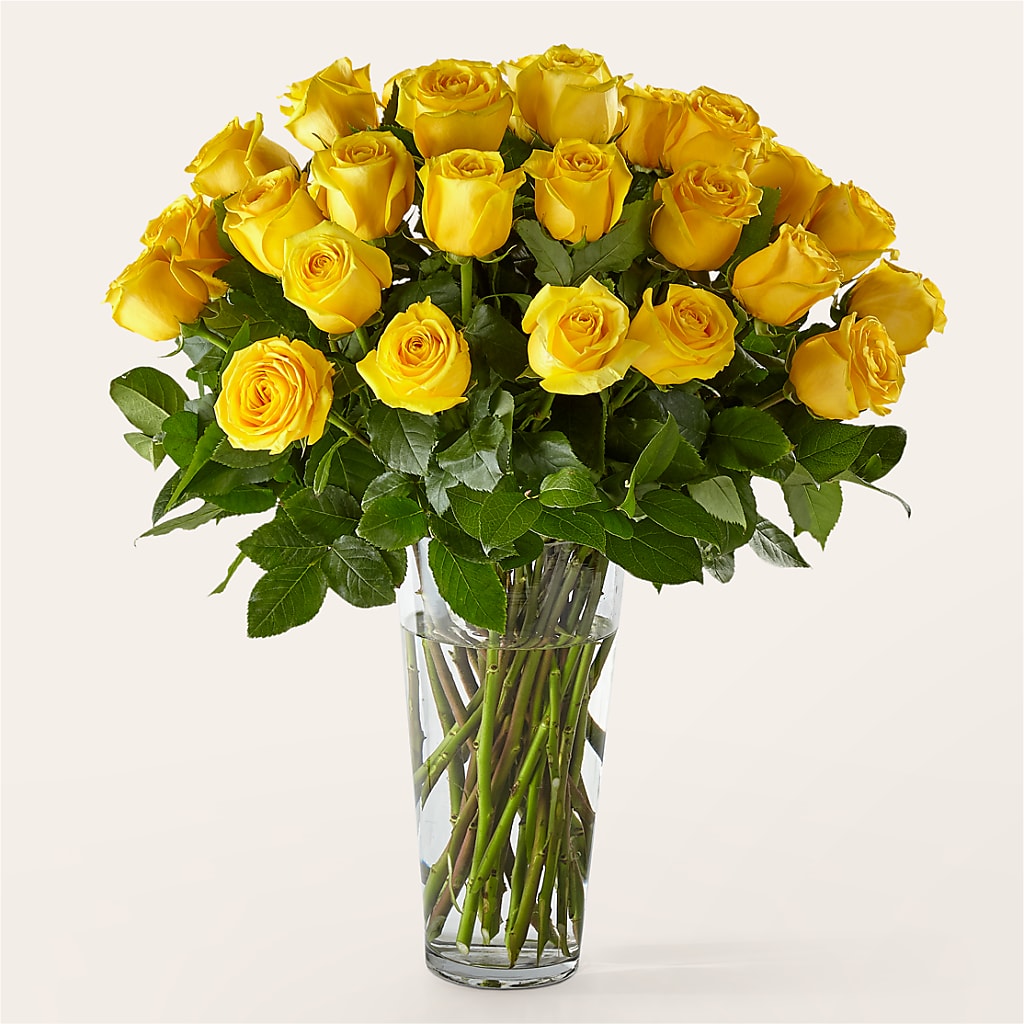 Long Stem Yellow Rose Bouquet – Ko Caffee Llc Dba Verde Galerie, Stamford CT
