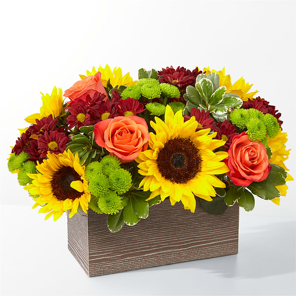 Happy Harvest Garden – Ko Caffee Llc Dba Verde Galerie, Stamford CT