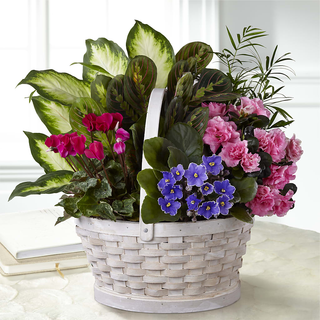 Peaceful Garden Planter – Ko Caffee Llc Dba Verde Galerie, Stamford CT