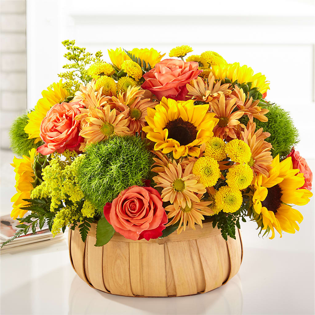 Harvest Sunflower Basket – Ko Caffee Llc Dba Verde Galerie, Stamford CT