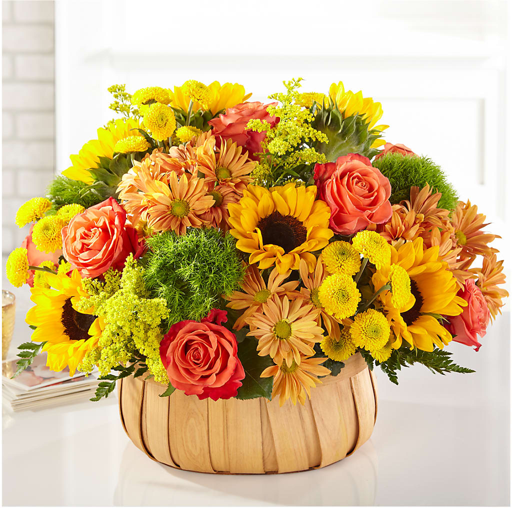 Harvest Sunflower Basket – Ko Caffee Llc Dba Verde Galerie, Stamford CT