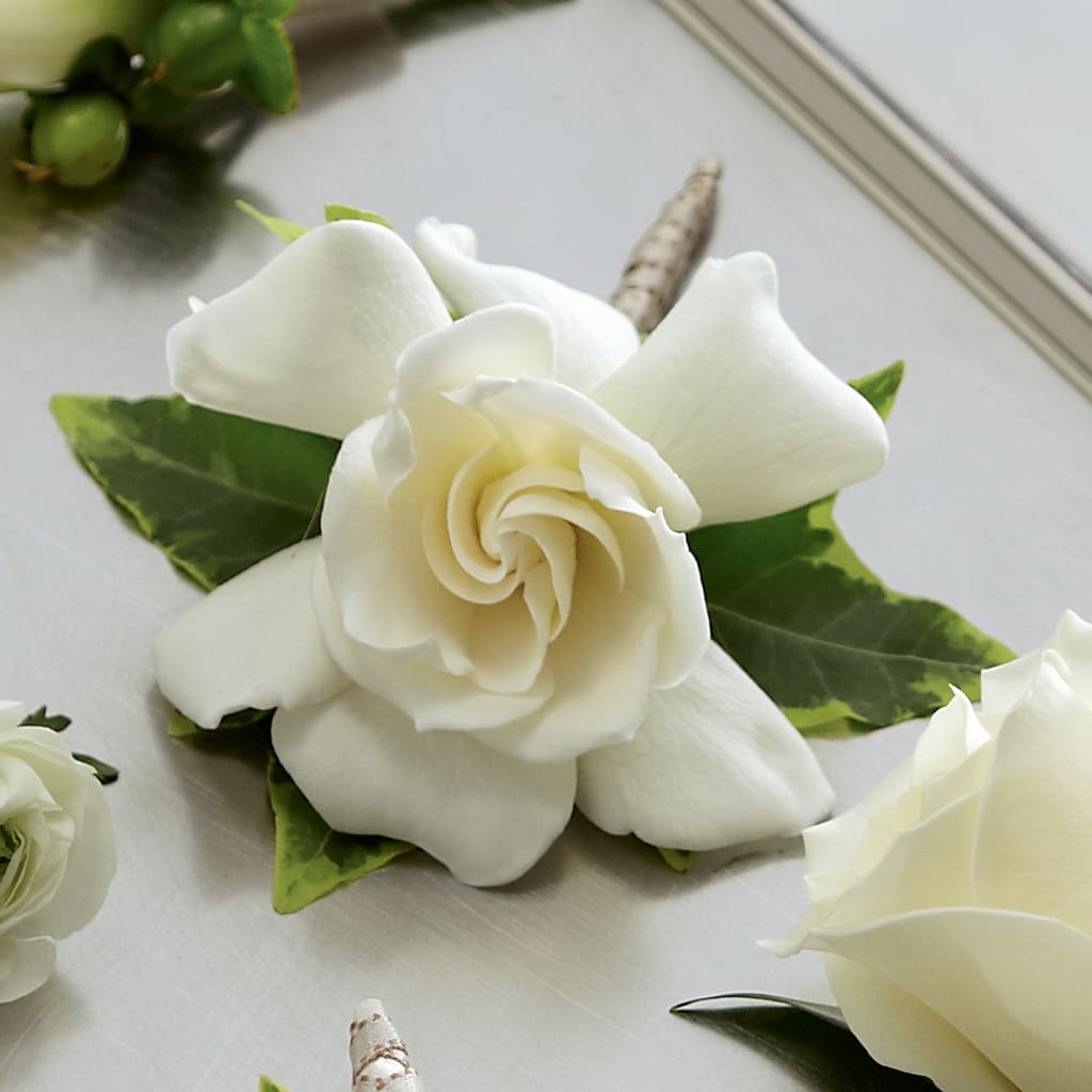 Gardenia Boutonniere – Ko Caffee Llc Dba Verde Galerie, Stamford CT