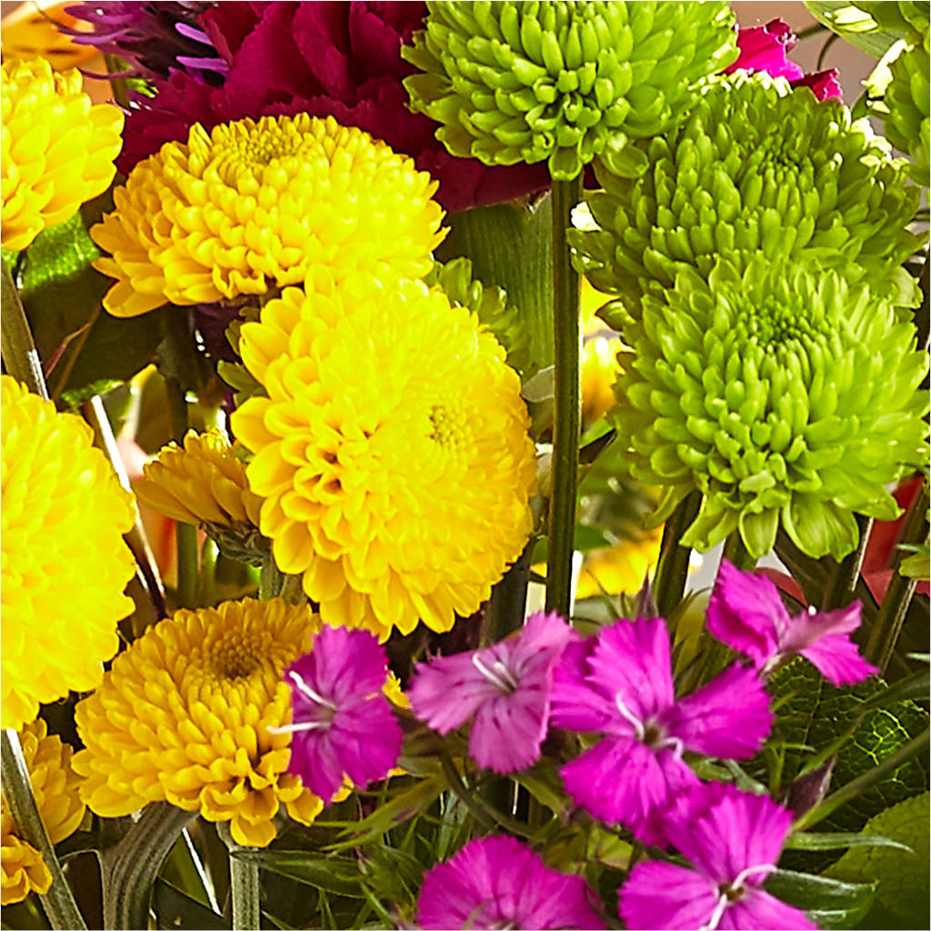 Bold & Bright – A Florist Original –  Ko Caffee Llc Dba Verde Galerie, Stamford CT