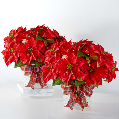 Happiest Holidays Poinsettia Bundle –  Ko Caffee Llc Dba Verde Galerie, Stamford CT