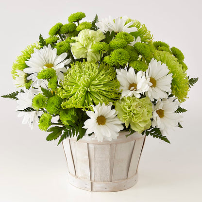 Lucky Charm Basket (Standard) –  Ko Caffee Llc Dba Verde Galerie, Stamford CT