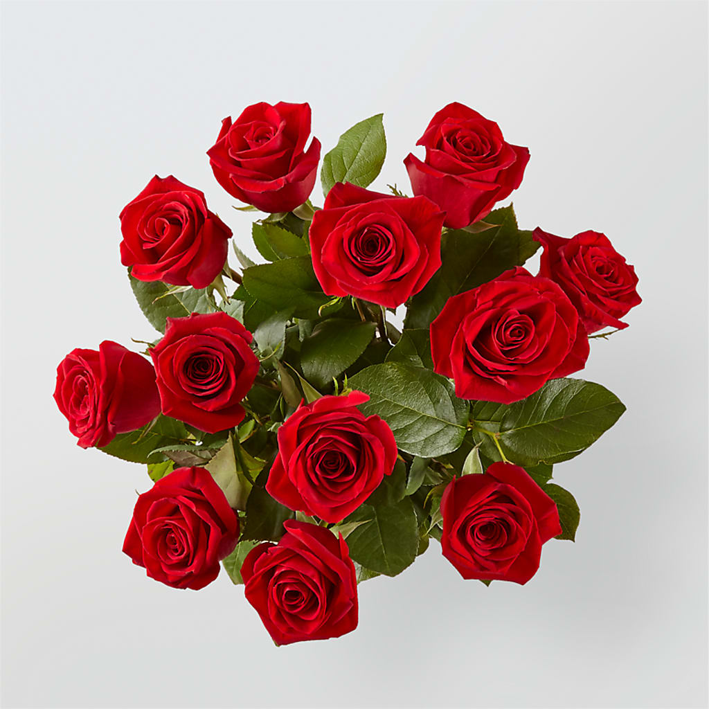 Long Stem Red Rose Bouquet –  Ko Caffee Llc Dba Verde Galerie, Stamford CT