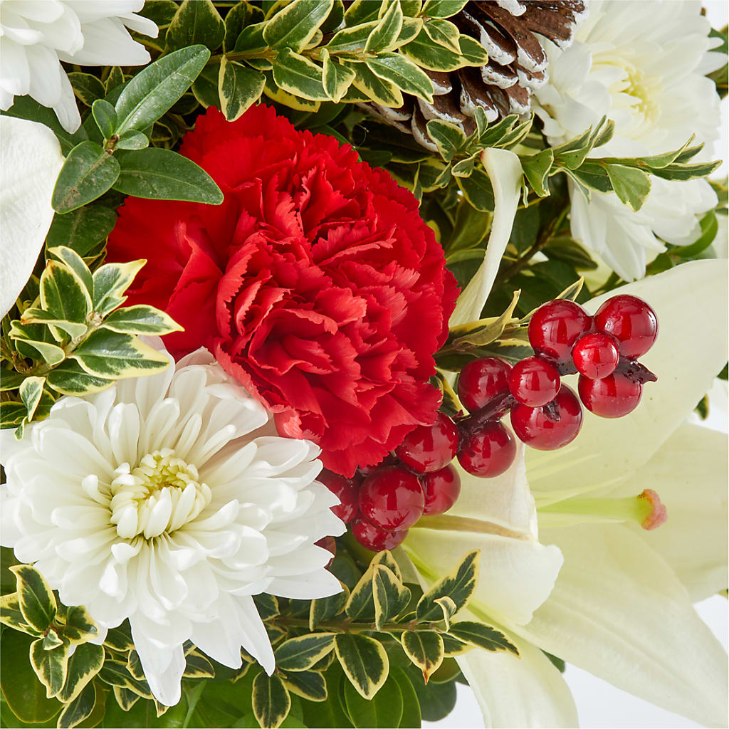 Festive Moments Tree –  Ko Caffee Llc Dba Verde Galerie, Stamford CT
