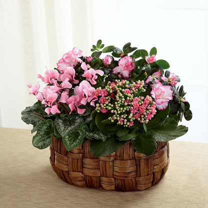 Pink Assortment –  Ko Caffee Llc Dba Verde Galerie, Stamford CT