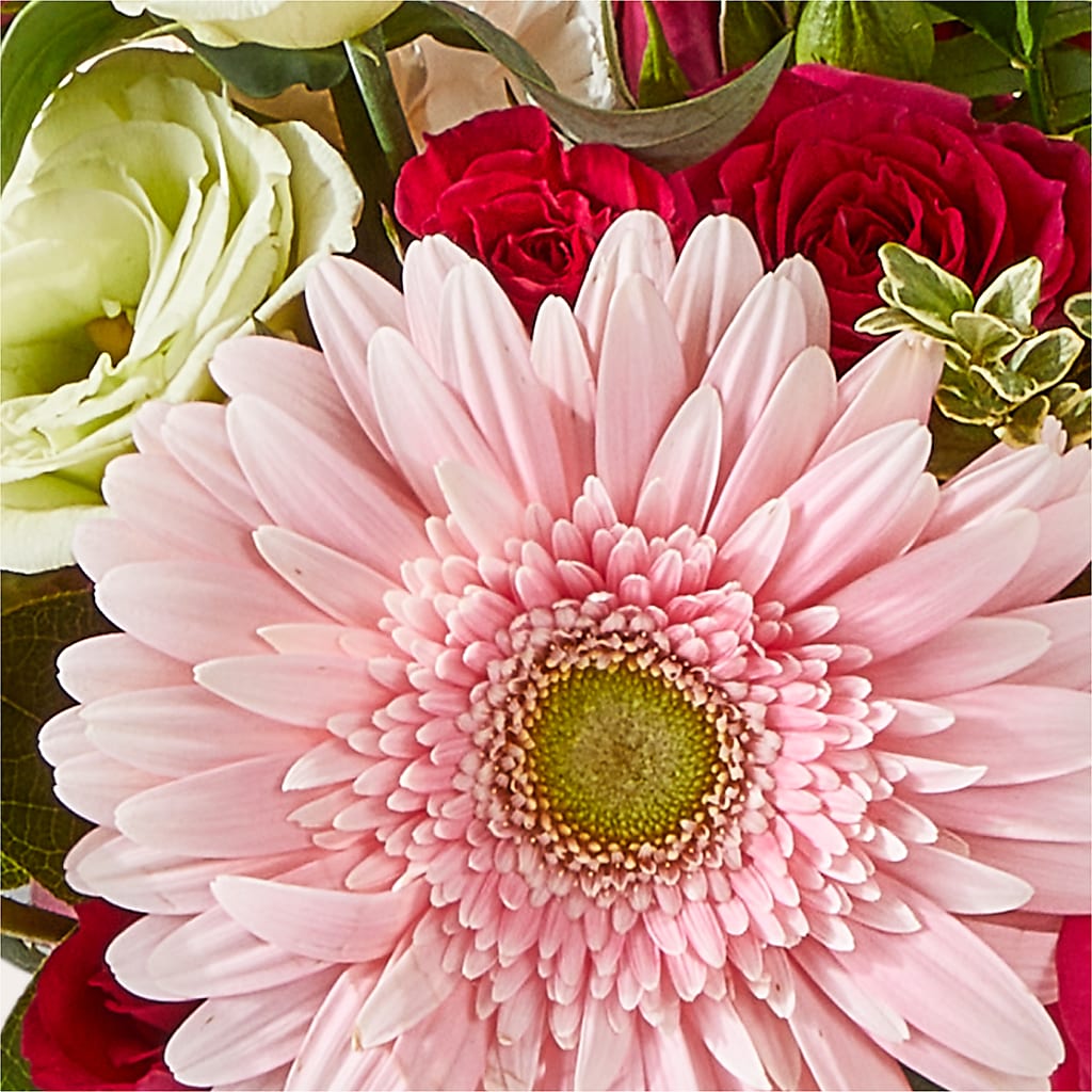 Too Cute Bouquet –  Ko Caffee Llc Dba Verde Galerie, Stamford CT