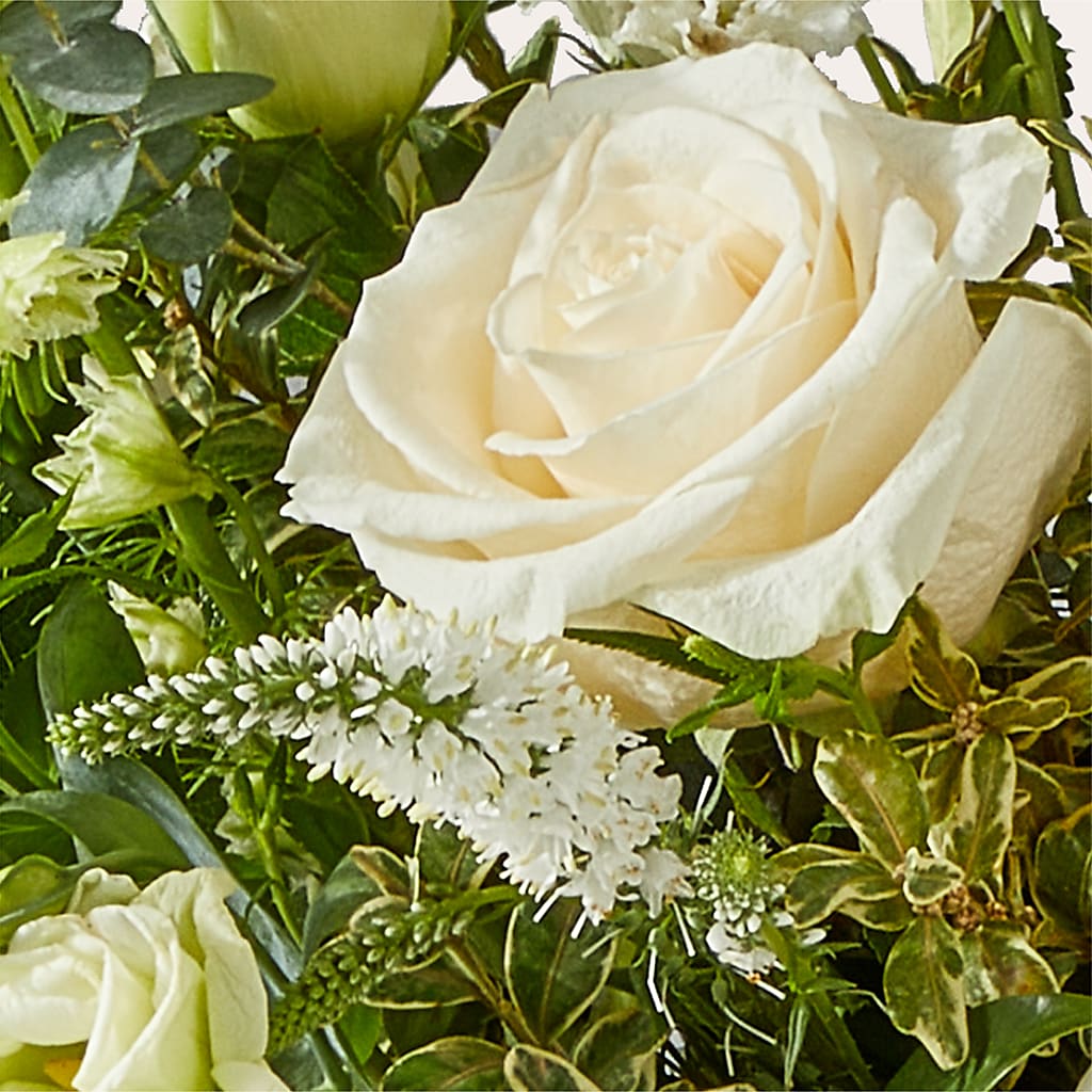 Cashmere Bouquet –  Ko Caffee Llc Dba Verde Galerie, Stamford CT