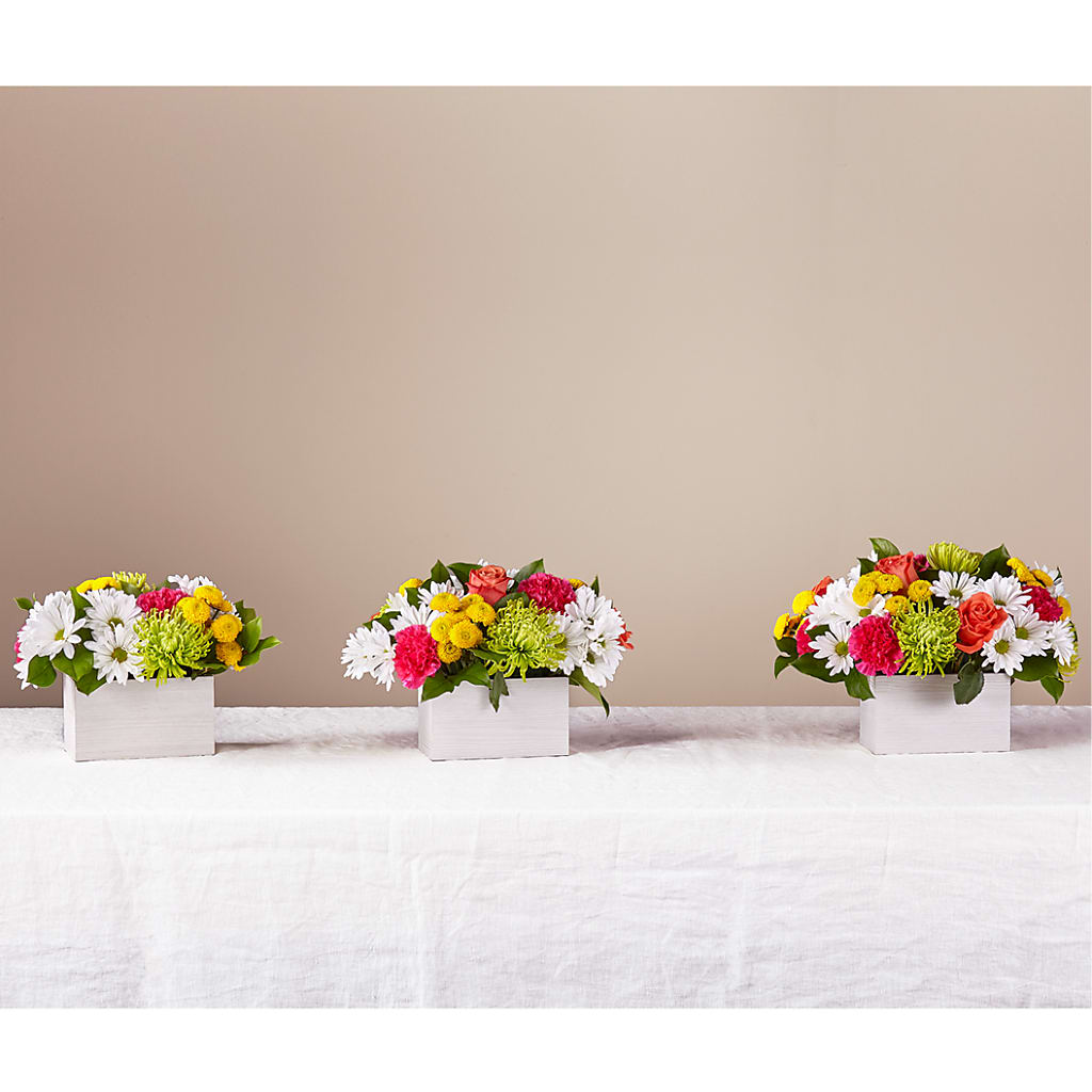Sorbet Bouquet –  Ko Caffee Llc Dba Verde Galerie, Stamford CT