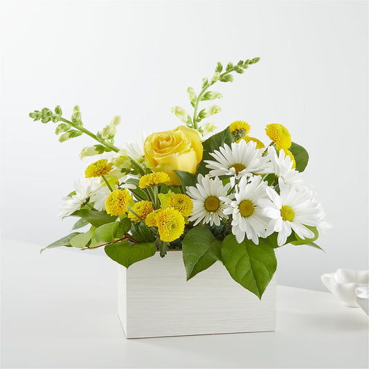 Sun Salutation Box Bouquet –  Ko Caffee Llc Dba Verde Galerie, Stamford CT