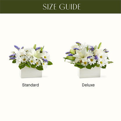 Beyond Blue Box Bouquet –  Ko Caffee Llc Dba Verde Galerie, Stamford CT