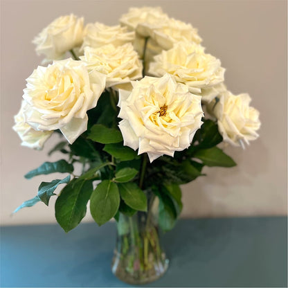 Long Stem Yellow Rose Bouquet –  Ko Caffee Llc Dba Verde Galerie, Stamford CT