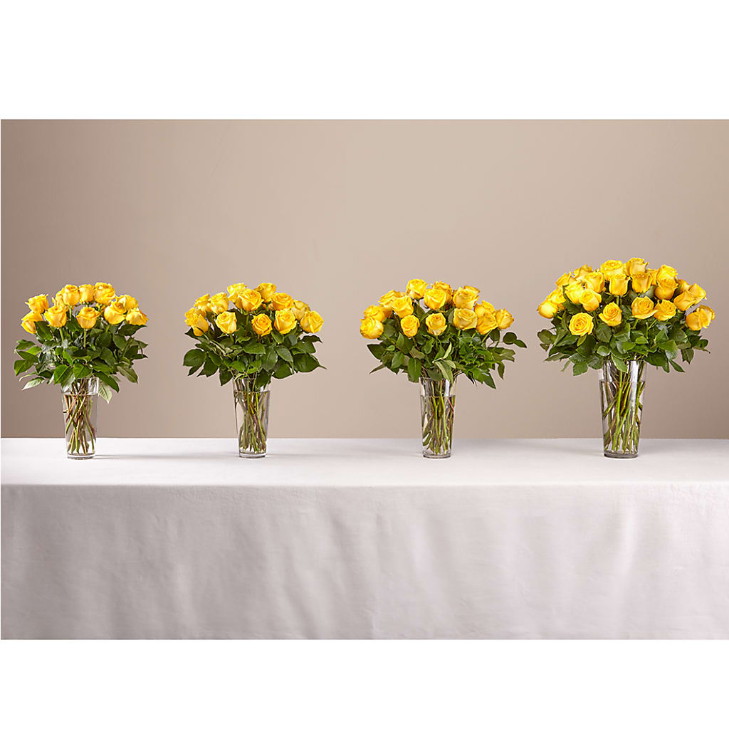 Long Stem Yellow Rose Bouquet –  Ko Caffee Llc Dba Verde Galerie, Stamford CT