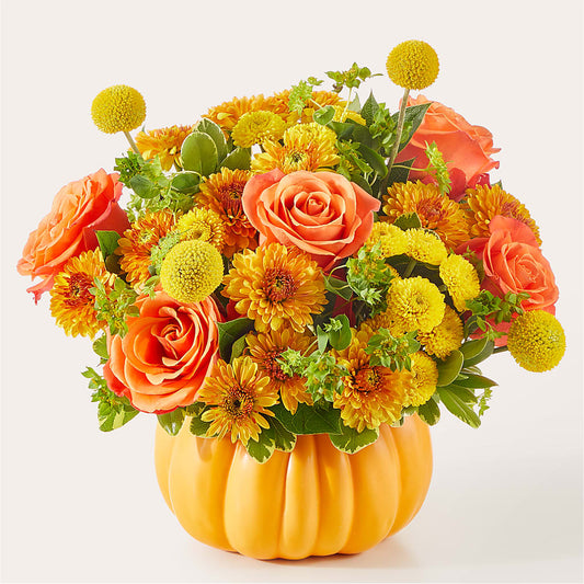 Gourdgeous Pumpkin –  Ko Caffee Llc Dba Verde Galerie, Stamford CT