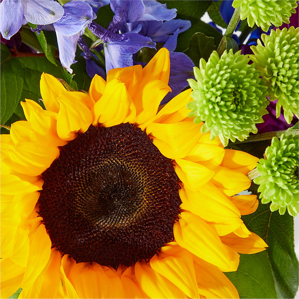 Catching Rays Bouquet –  Ko Caffee Llc Dba Verde Galerie, Stamford CT
