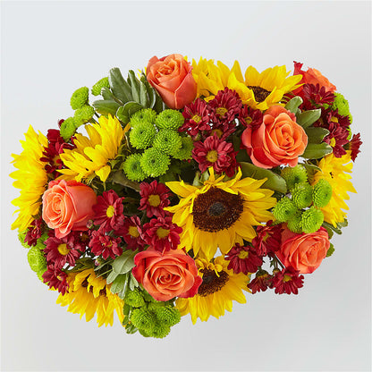 Happy Harvest Garden –  Ko Caffee Llc Dba Verde Galerie, Stamford CT