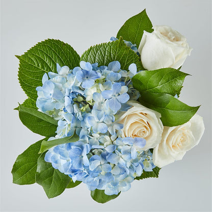 Sky Blue Delight Bouquet –  Ko Caffee Llc Dba Verde Galerie, Stamford CT