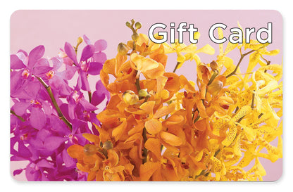 Gift Card –  Ko Caffee Llc Dba Verde Galerie, Stamford CT
