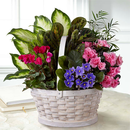 Peaceful Garden Planter –  Ko Caffee Llc Dba Verde Galerie, Stamford CT