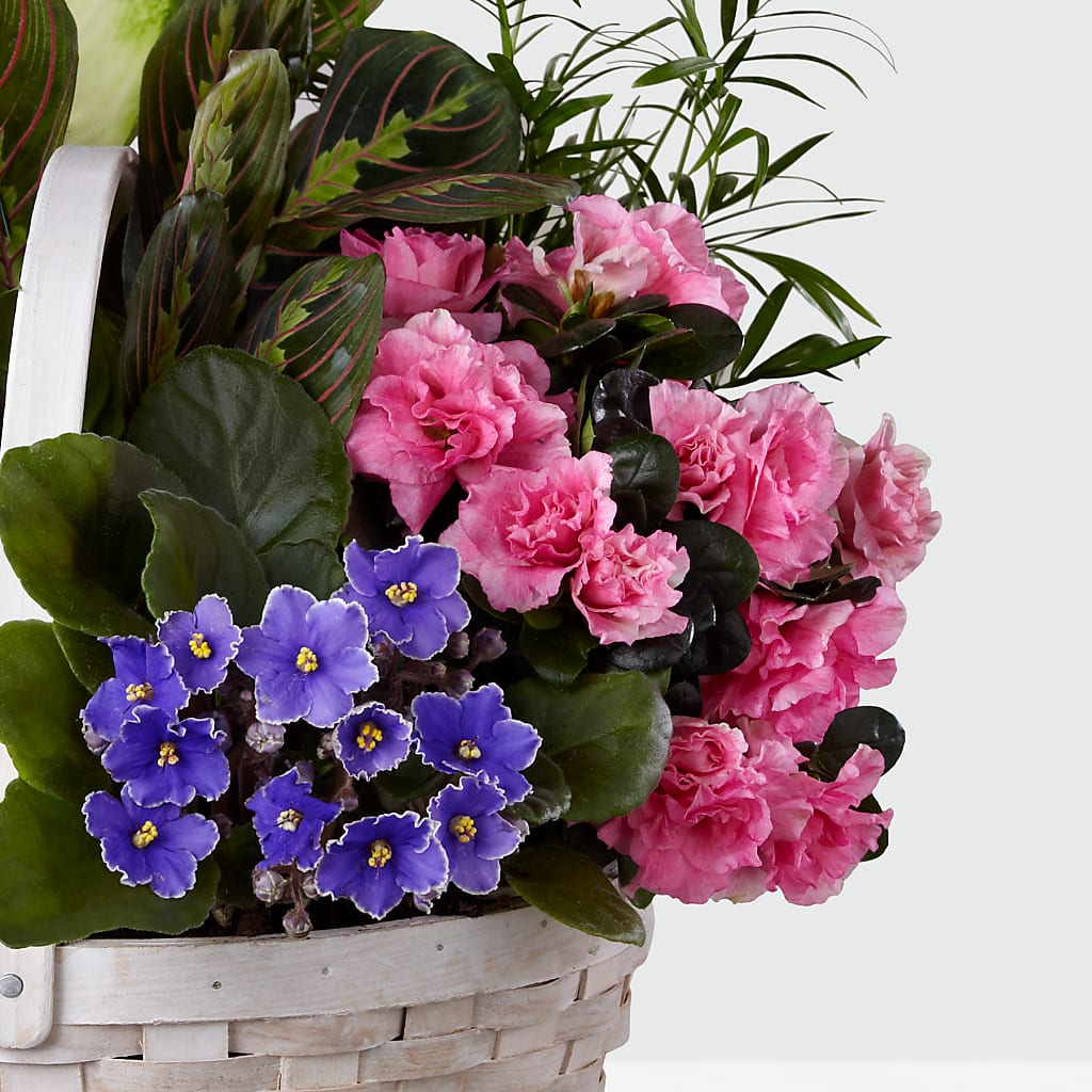 Peaceful Garden Planter –  Ko Caffee Llc Dba Verde Galerie, Stamford CT