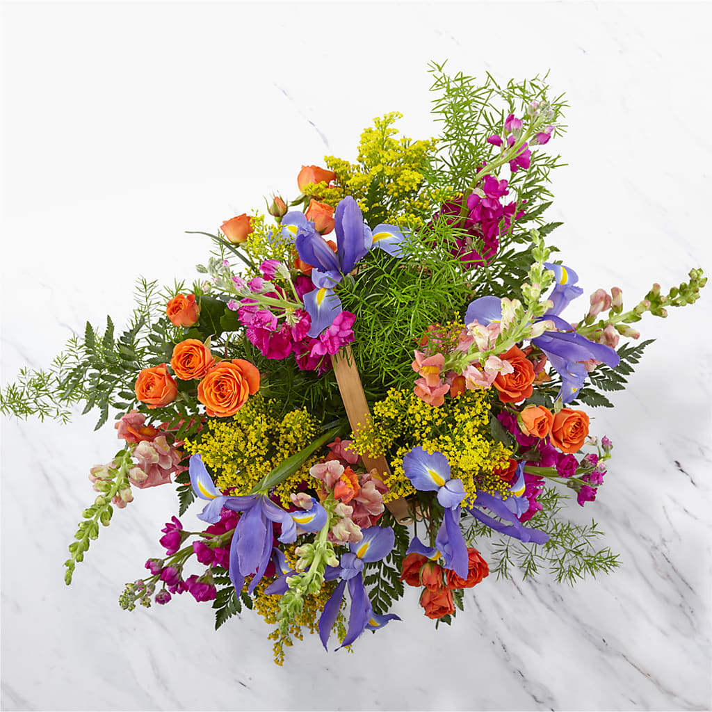 Garden of Life Basket –  Ko Caffee Llc Dba Verde Galerie, Stamford CT