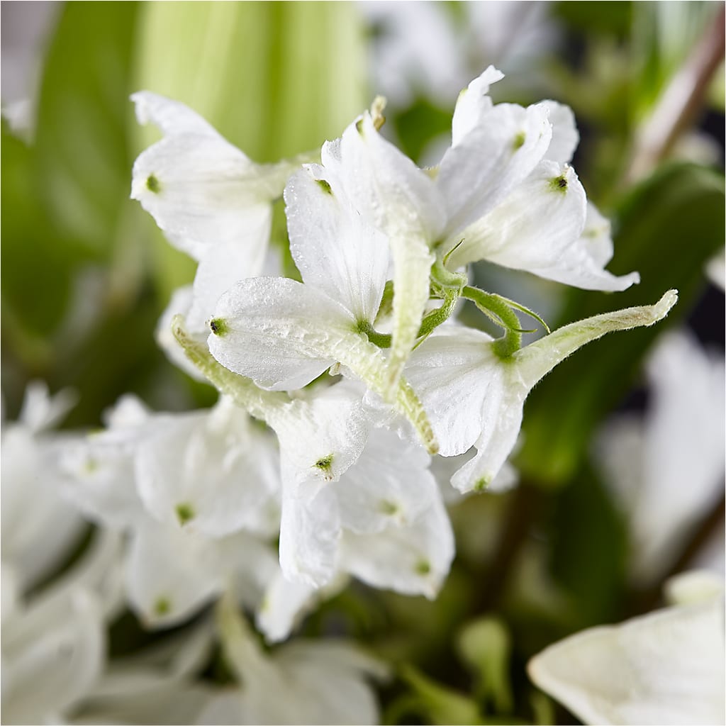 Classic Ivory – A Florist Original –  Ko Caffee Llc Dba Verde Galerie, Stamford CT