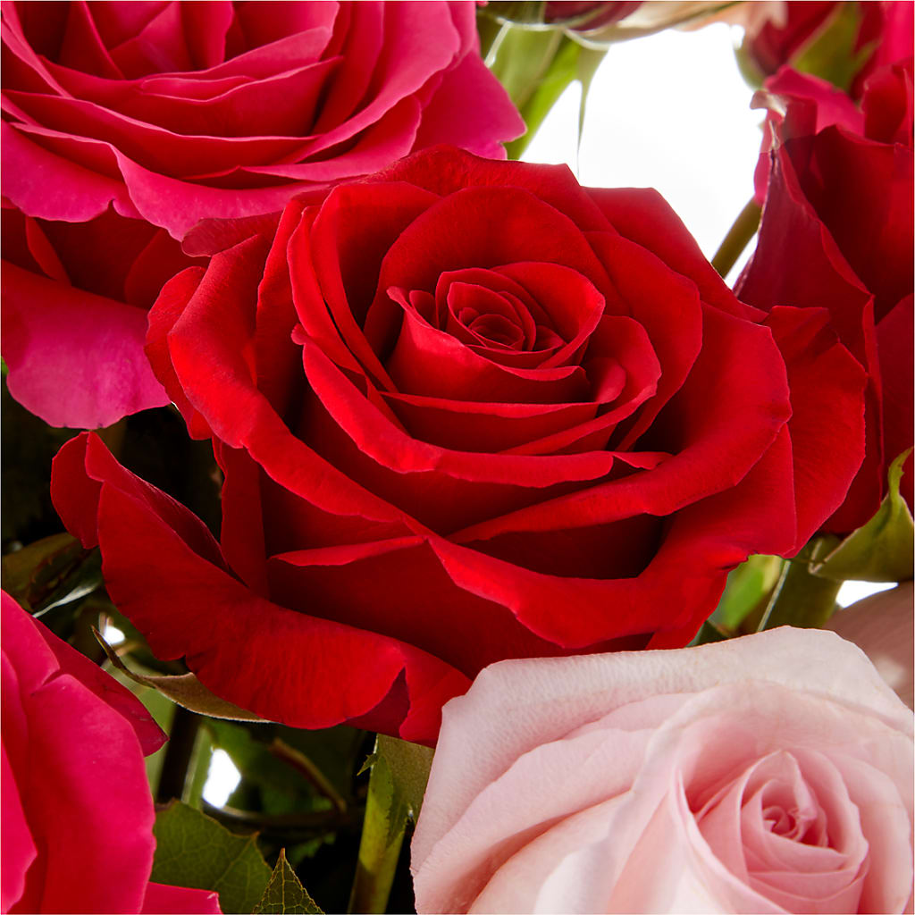 Love Notes Rose Bouquet –  Ko Caffee Llc Dba Verde Galerie, Stamford CT