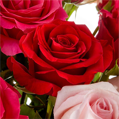 Love Notes Rose Bouquet –  Ko Caffee Llc Dba Verde Galerie, Stamford CT