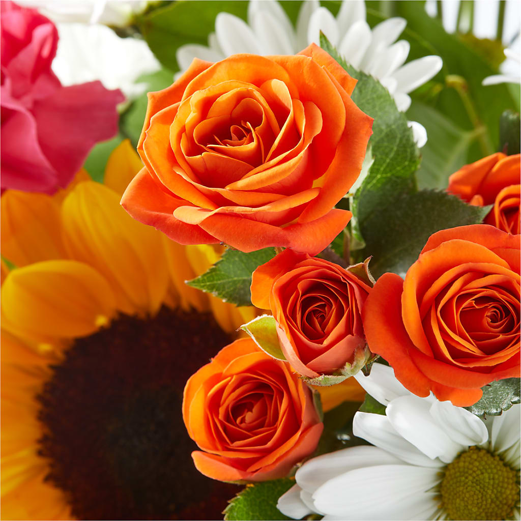 Sun-drenched Blooms Bouquet –  Ko Caffee Llc Dba Verde Galerie, Stamford CT