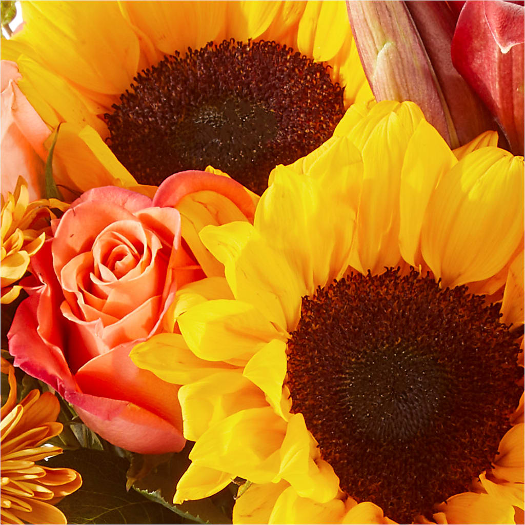 Acorn Lane Bouquet –  Ko Caffee Llc Dba Verde Galerie, Stamford CT