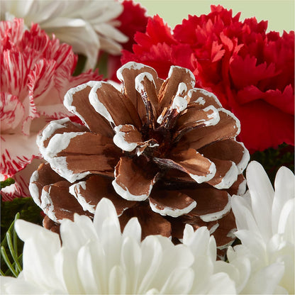 Candy Cane Lane Bouquet –  Ko Caffee Llc Dba Verde Galerie, Stamford CT