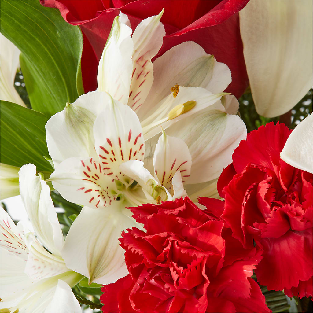 Holiday Season Bouquet –  Ko Caffee Llc Dba Verde Galerie, Stamford CT