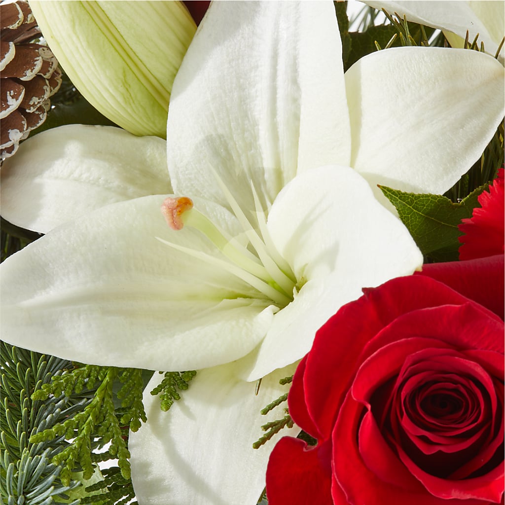 Oh So Jolly Bouquet –  Ko Caffee Llc Dba Verde Galerie, Stamford CT