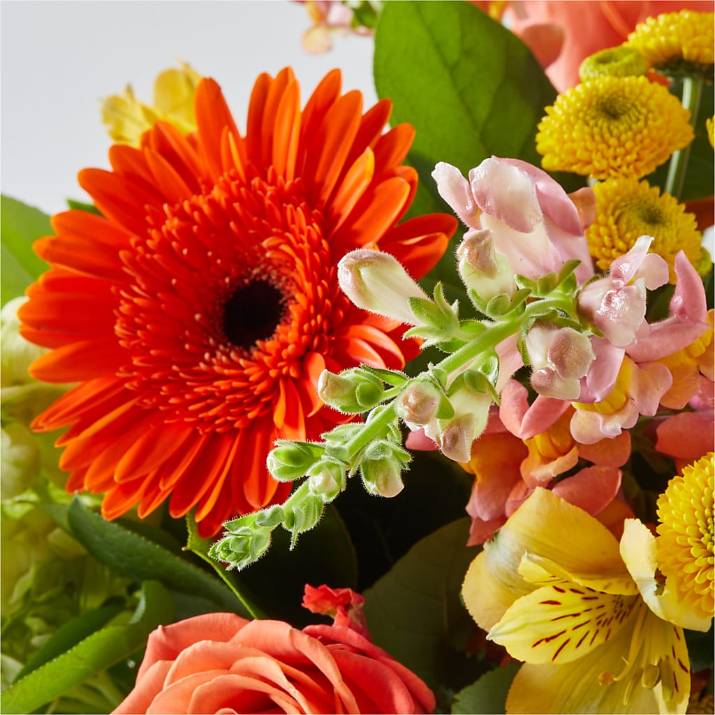 Autumn Sunshine Bouquet –  Ko Caffee Llc Dba Verde Galerie, Stamford CT