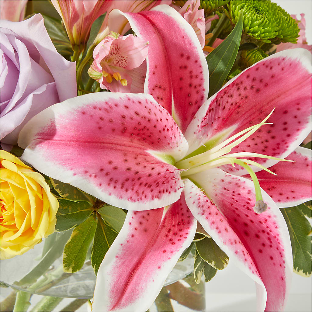 Serendipitous Blossoms Bouquet –  Ko Caffee Llc Dba Verde Galerie, Stamford CT