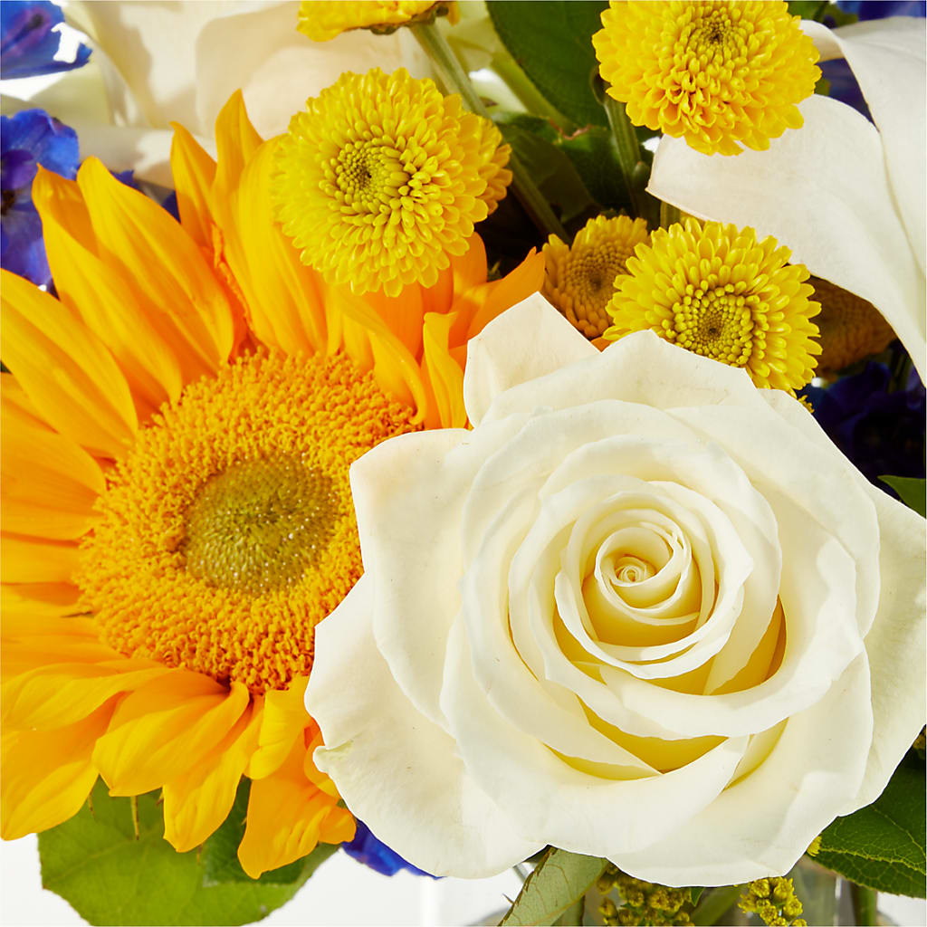 Stargazing Bouquet –  Ko Caffee Llc Dba Verde Galerie, Stamford CT