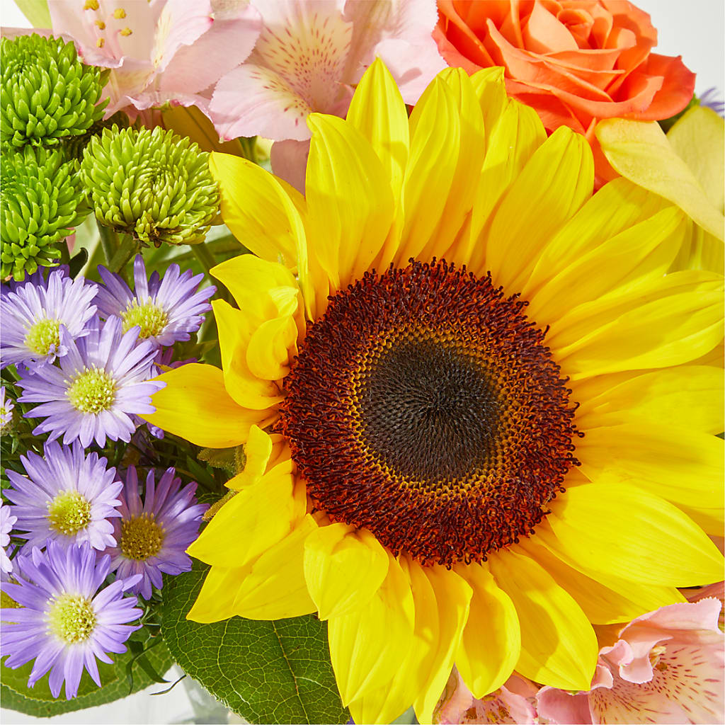 Basking in the Glow Bouquet –  Ko Caffee Llc Dba Verde Galerie, Stamford CT
