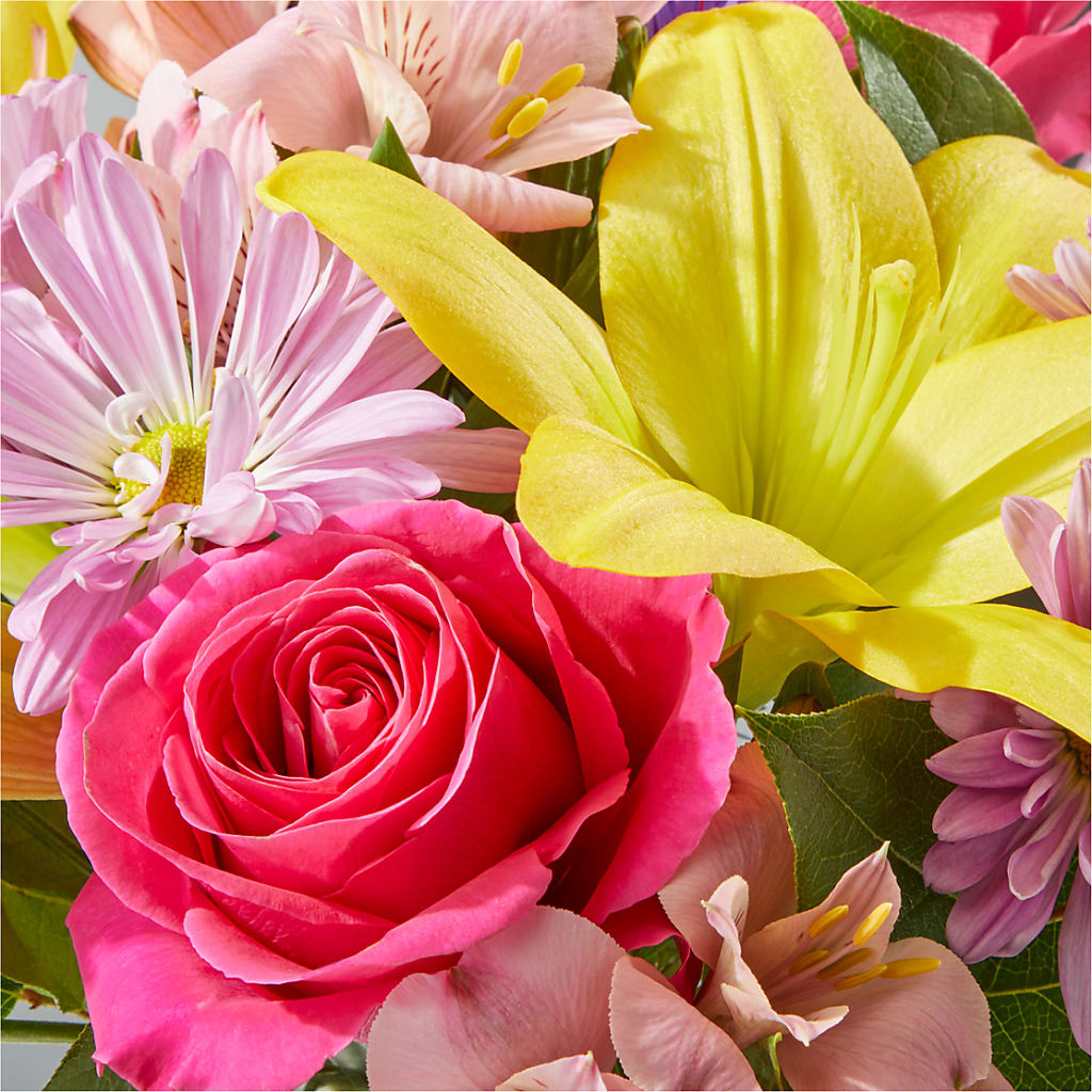 Sprinkles Bouquet –  Ko Caffee Llc Dba Verde Galerie, Stamford CT