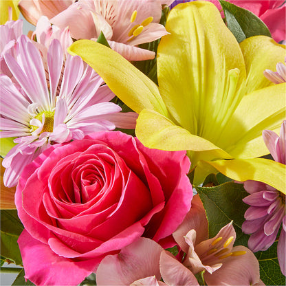 Sprinkles Bouquet –  Ko Caffee Llc Dba Verde Galerie, Stamford CT