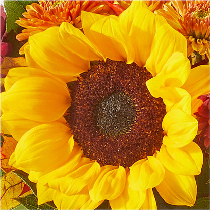 Sunny Side Bouquet –  Ko Caffee Llc Dba Verde Galerie, Stamford CT